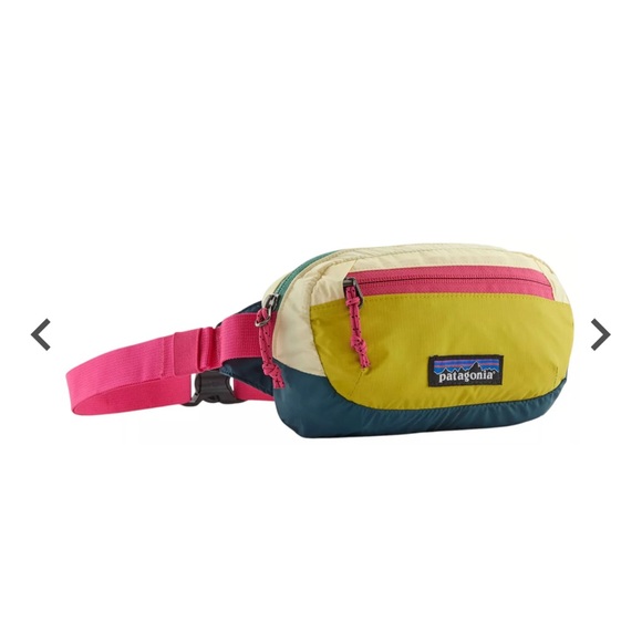 NWT Patagonia Terravia Mini Hip Pack - Picture 1 of 4